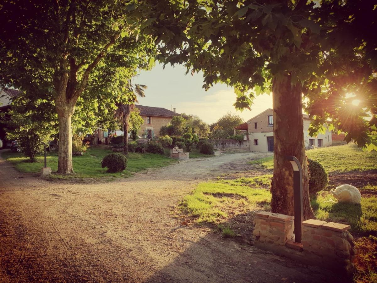 Domaine Des Jammetous - Hotel And Yoga Retreat Center La Magdelaine-Sur-Tarn Esterno foto