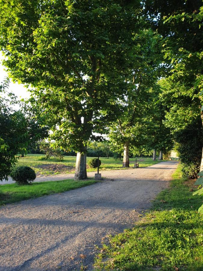 Domaine Des Jammetous - Hotel And Yoga Retreat Center La Magdelaine-Sur-Tarn Esterno foto